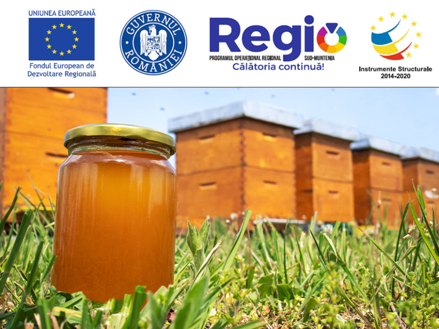 Lansarea proiectului “Miere – Supliment nutritiv cu bioactivitate crescută şi procedeu de obţinere”